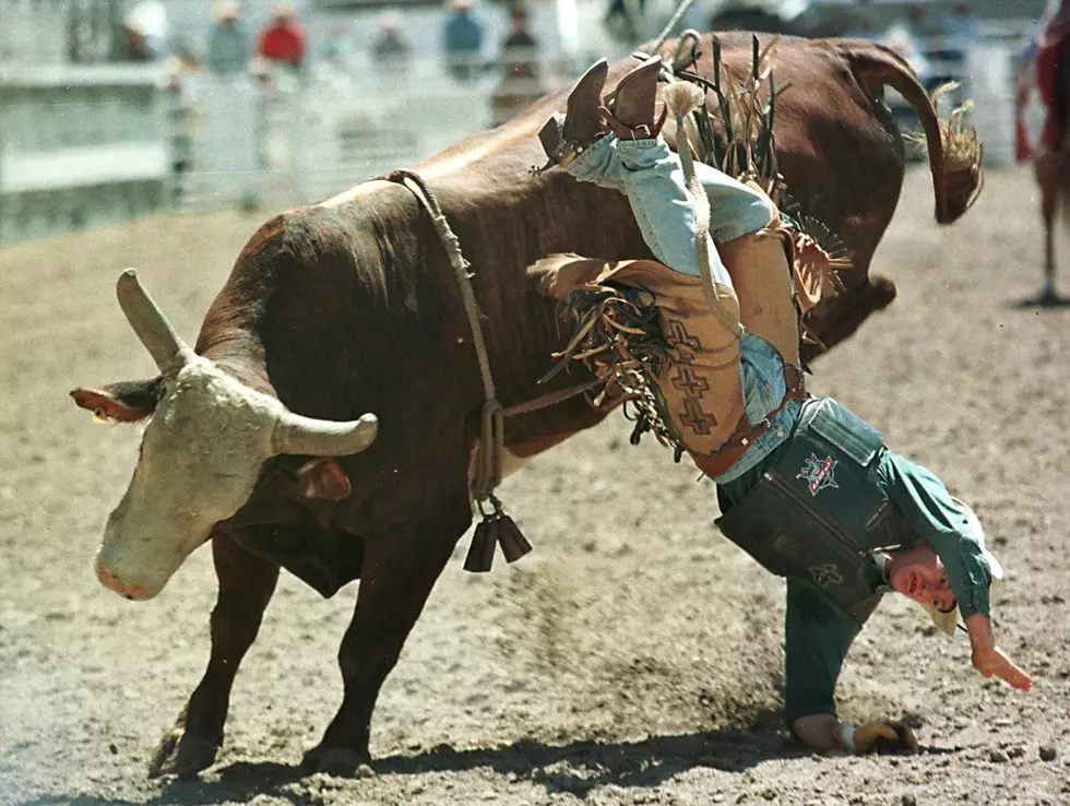 Bull Riding May be 1st US Professional Sport to Welcome Fans