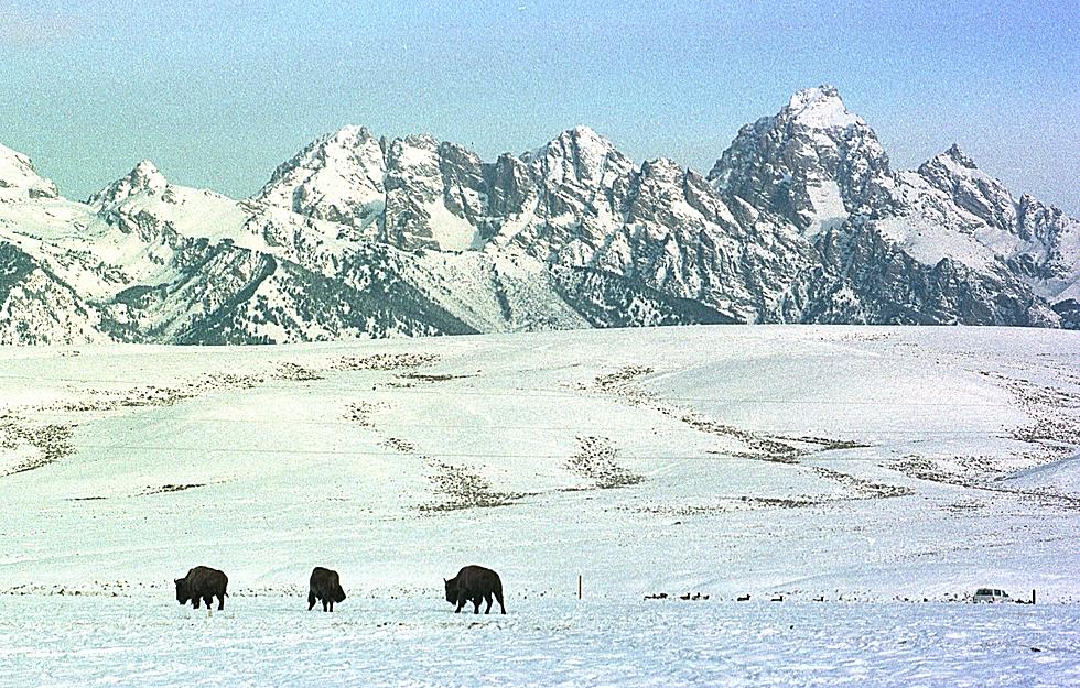 Grand Teton National Park Sees Accidents Decline