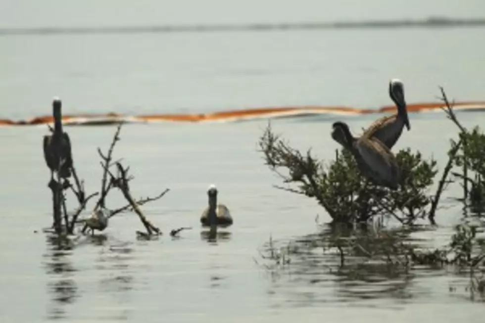 Judge Allocates Time For Start Of Oil Spill Trial