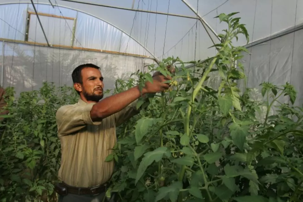 Idea For Community Greenhouse In Casper Grows