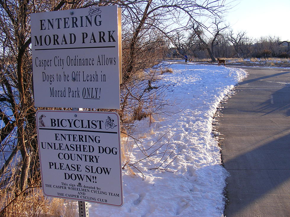 Dog Waste May Bring End To Off-Leash Morad