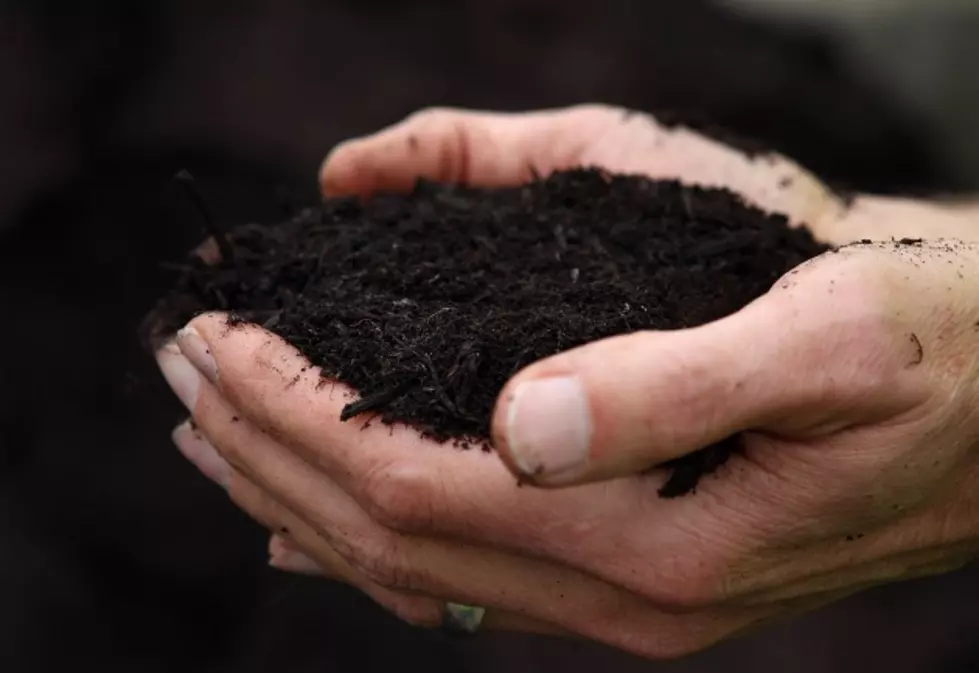 Give Your Garden A Boost, &#8220;Composting 101&#8243; At The Library