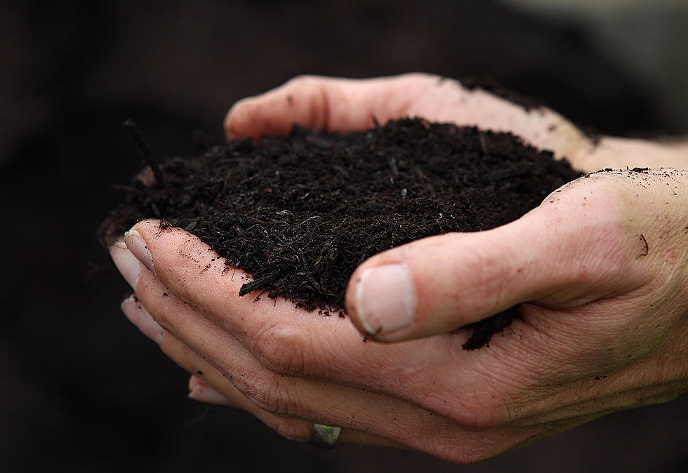 Give Your Garden A Boost, “Composting 101″ At The Library