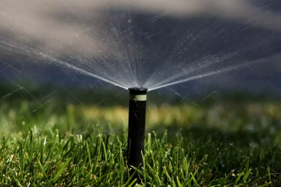 Watering Advice For A Hot Dry August [AUDIO]