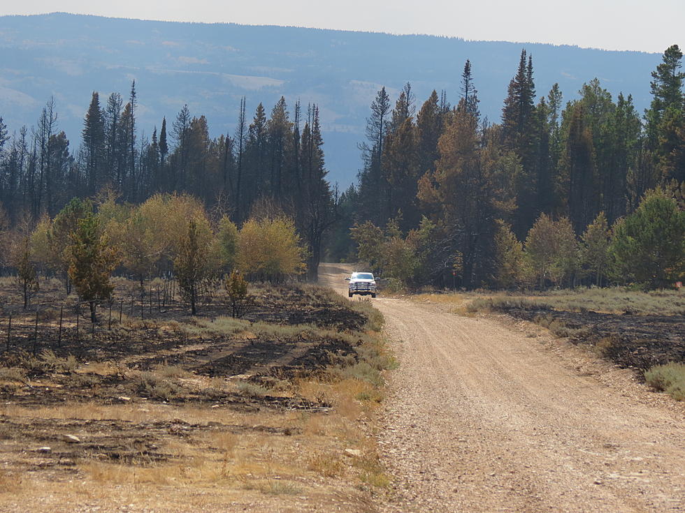 Aftermath of the Sheepherder Hill Fire [PHOTOS]