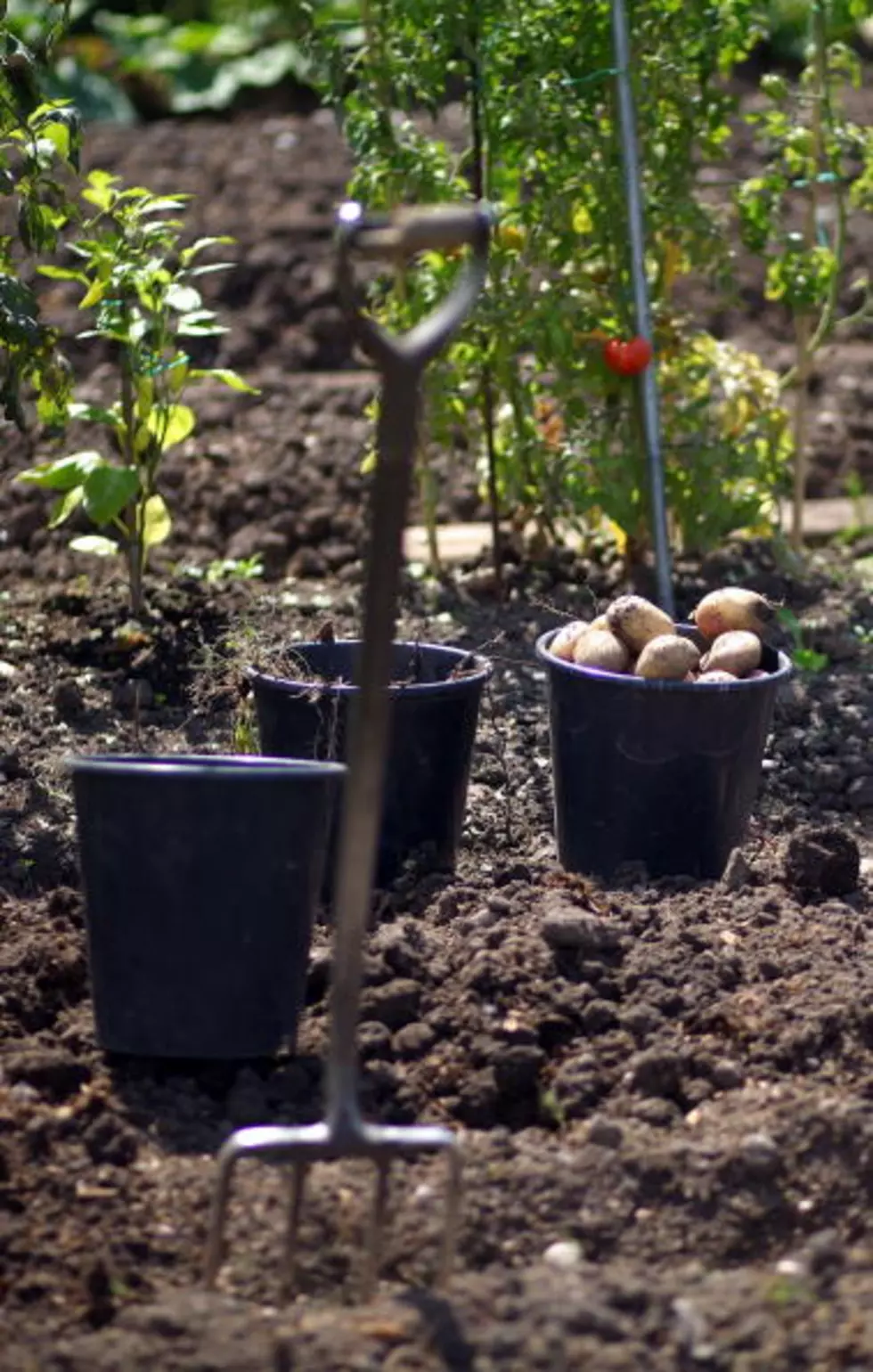 Master Gardener Training Restructured For Busy People