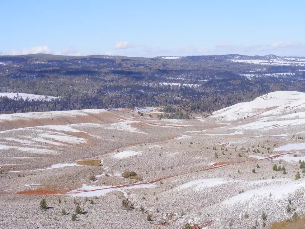 Casper Mountain Rehab Focus of ROTC-BLM Public Lands Day