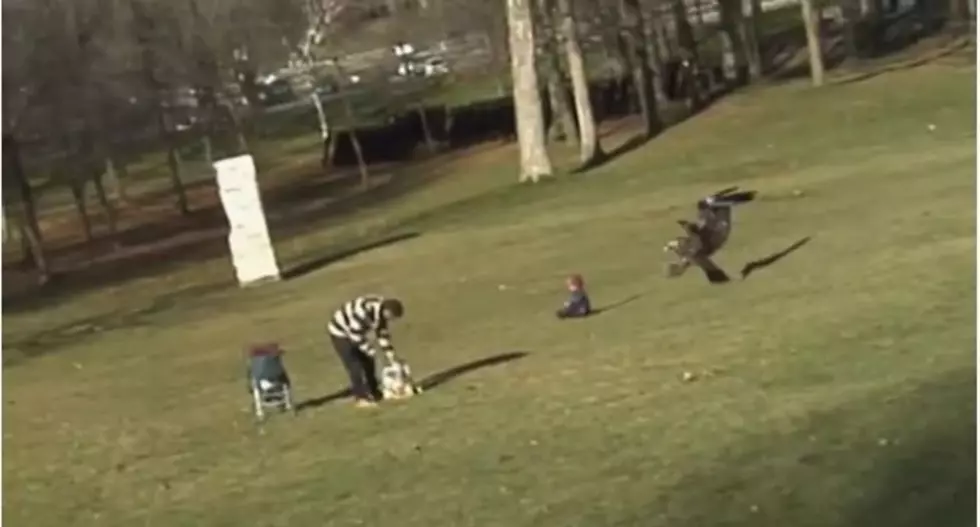 Golden Eagle Snatches Baby [VIDEO]