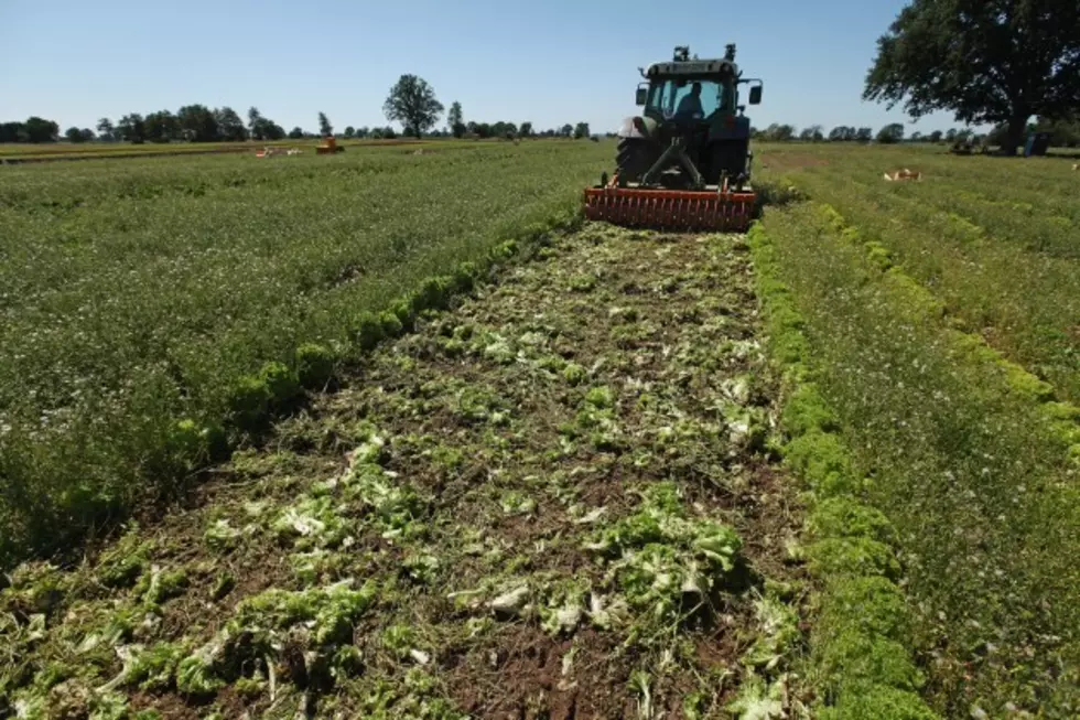 Federal Reserve Says Farm Income Weaker In 1st Quarter