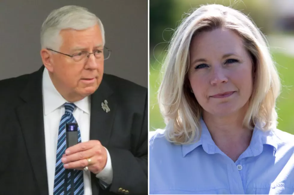GOP Committee to Back Incumbent Mike Enzi over Challenger Liz Cheney