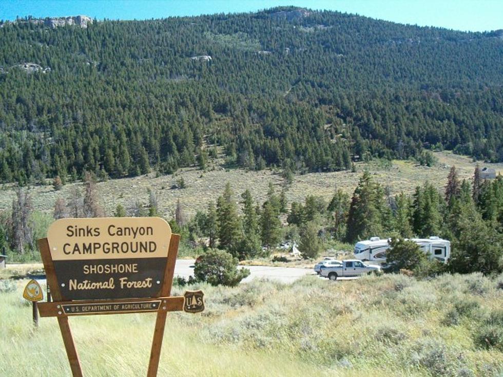 Famous Ram Memorialized At Sinks Canyon Park