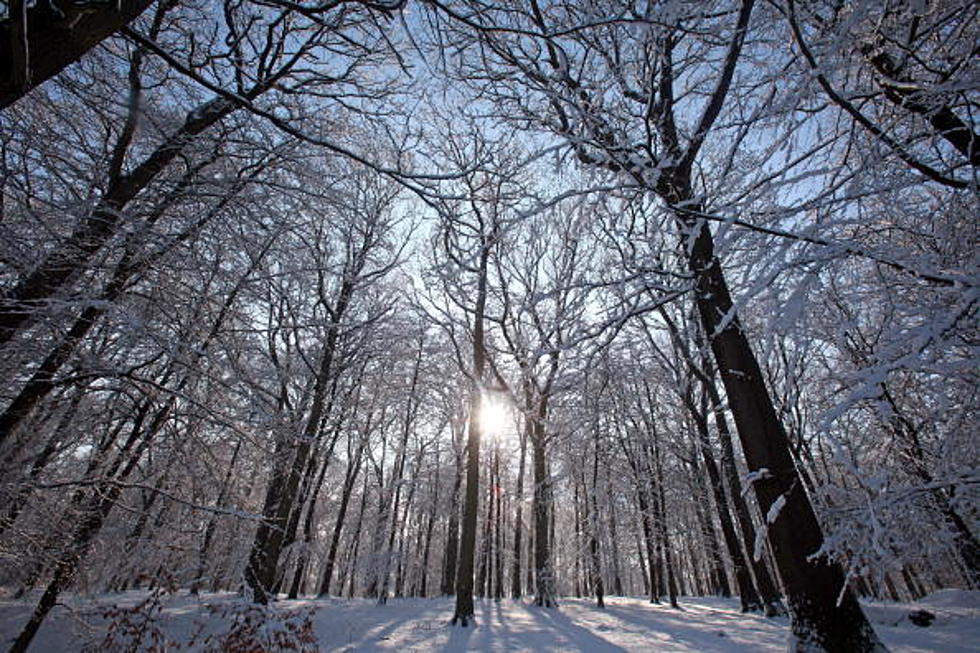 Cool with More Snow For Parts of the State