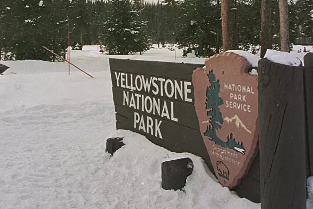 Wyoming Moves to Create Yellowstone License Plate