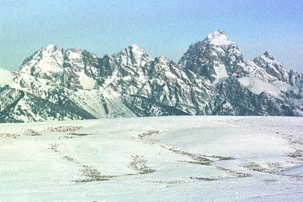 Two Climbers Rescued by Grand Teton Rangers in Recent Days