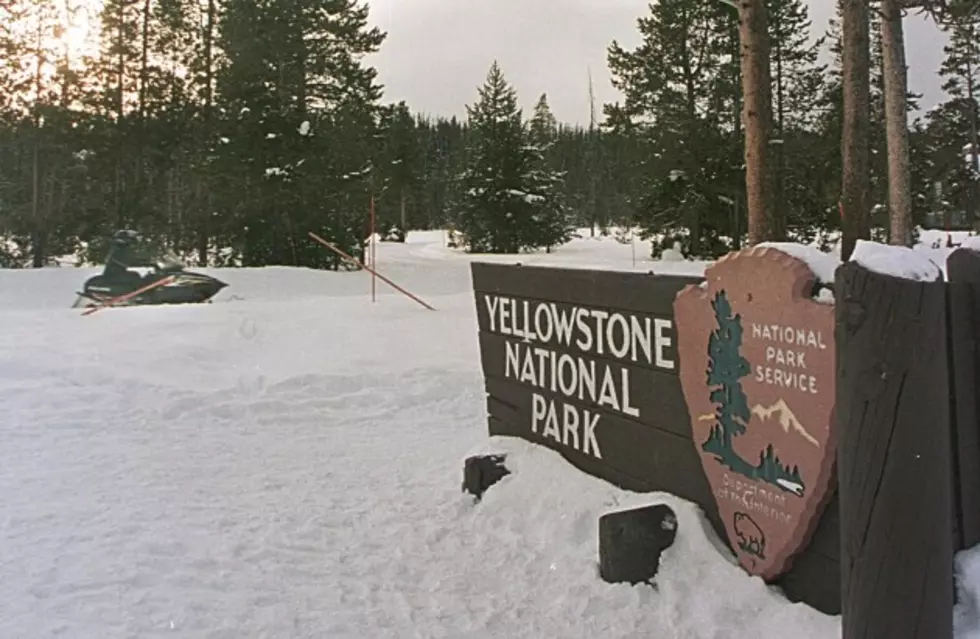 Yellowstone Attendence Up