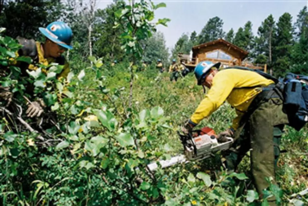 Forestry Worker Dies