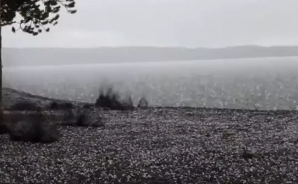 Lightning Strike In Yellowstone National Park Caught On Video [VIDEO]