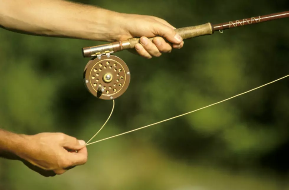 Wyoming Officials Kill Walleye to Save Cutthroat Trout