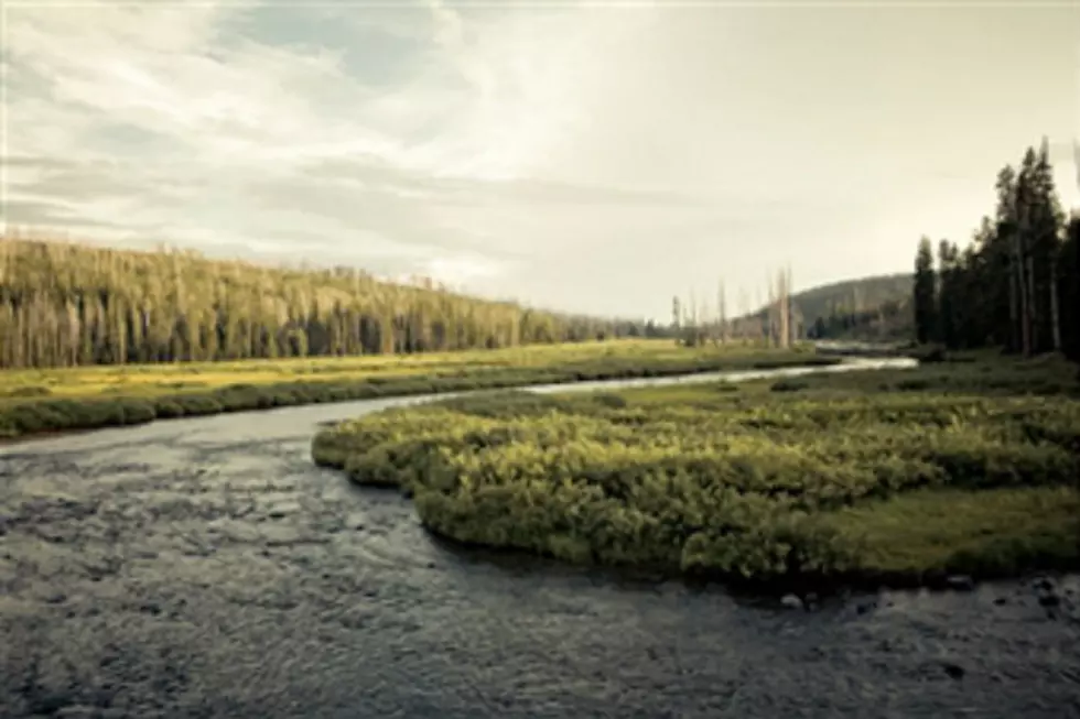 Rafter Dies in Grand Teton National Park