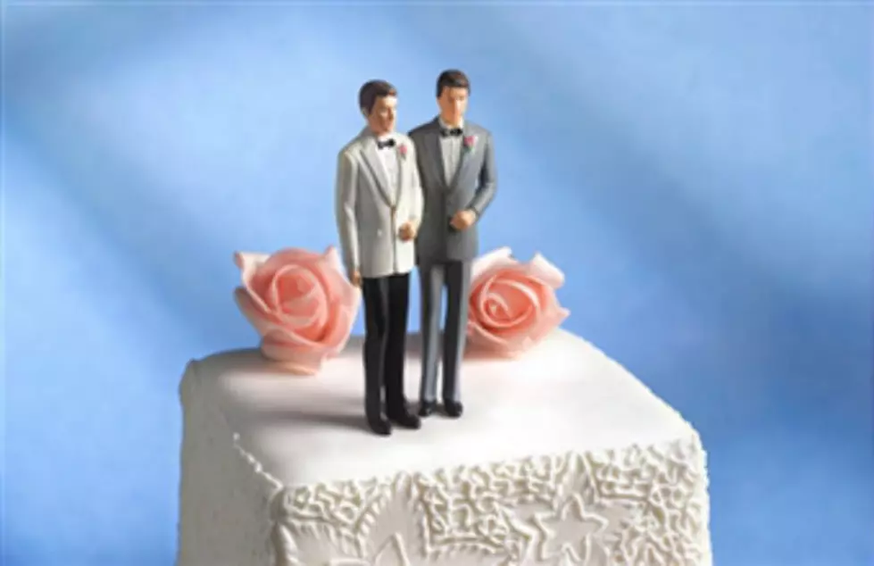 First Gay Marriage Appeal to Supreme Court