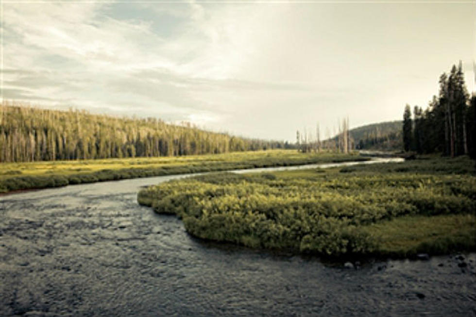 Yellowstone Receives &#8220;Best Idea&#8221; Grant