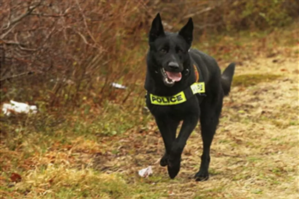 Trial Set in Police Dog Death