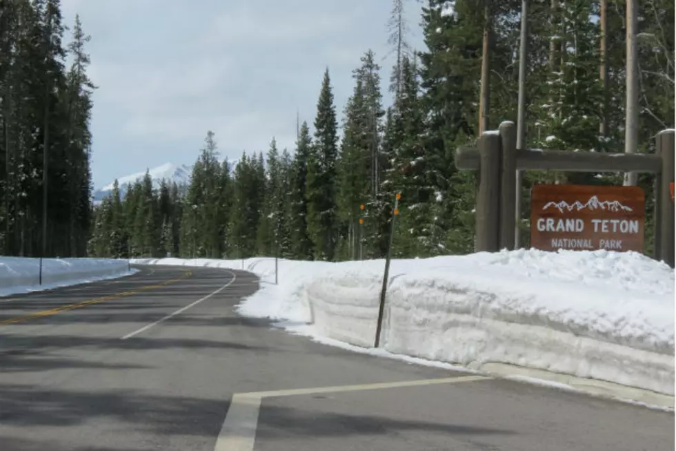 Grand Teton Road Opens to People Walking, Biking