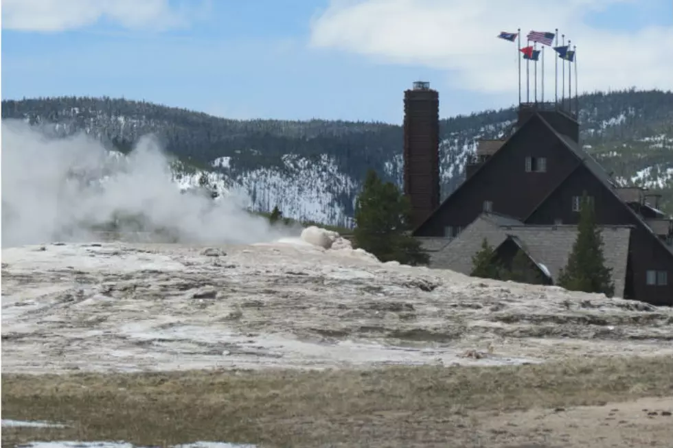 Yellowstone Webcam Catches Marriage Proposal Perfectly Timed With Dual Geyser Eruptions [VIDEO]