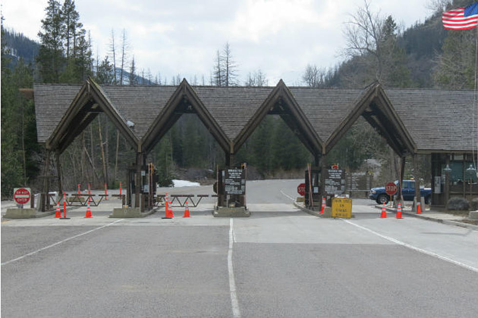Yellowstone East Entrance Opens Friday