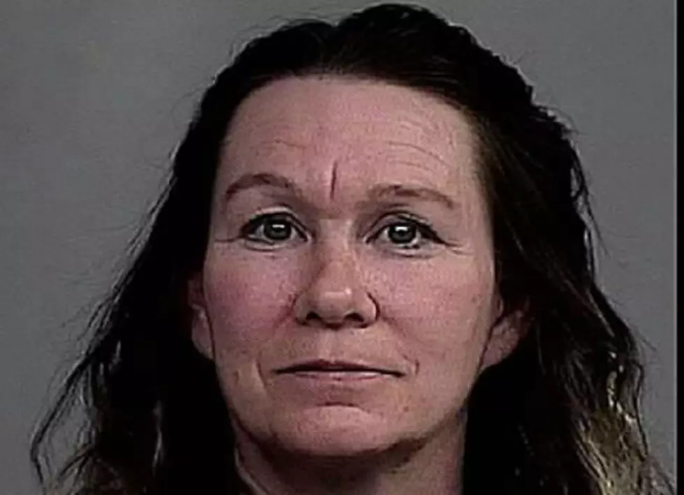 UPDATE: Dogs Seized in Casper Friday-Colorado Woman Charged
