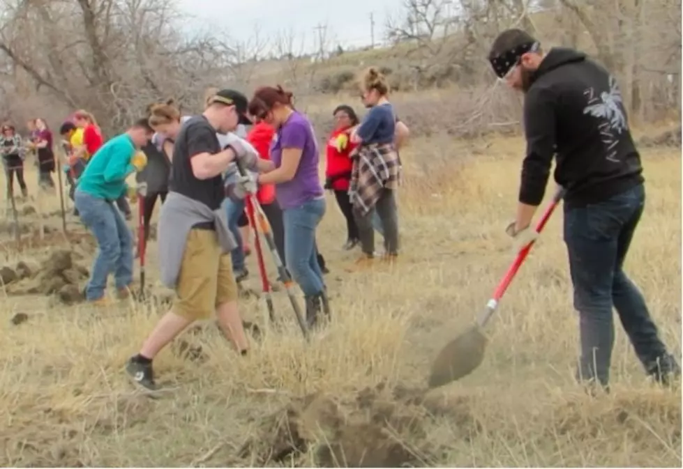 Minnesota Students Plant Trees For Morad Park Restoration