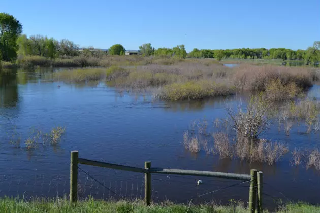 Snowpack Melts: Wyoming Prepares for Possible Flooding