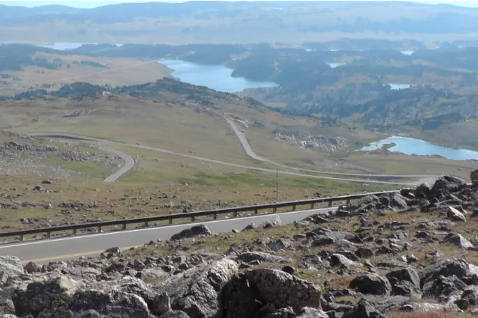 Bear And Motorcycle Collide On Beartooth Highway