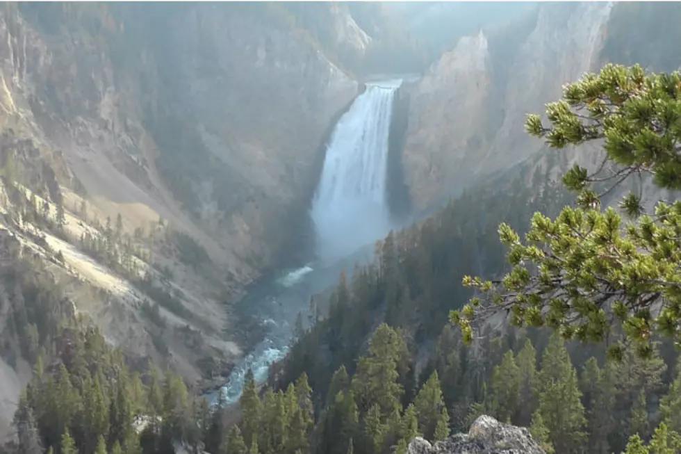 Grand Canyon of the Yellowstone Overlook Reopens After Work