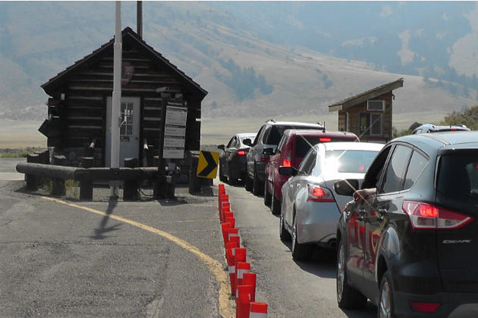 Most Yellowstone National Park Roads Open on Friday