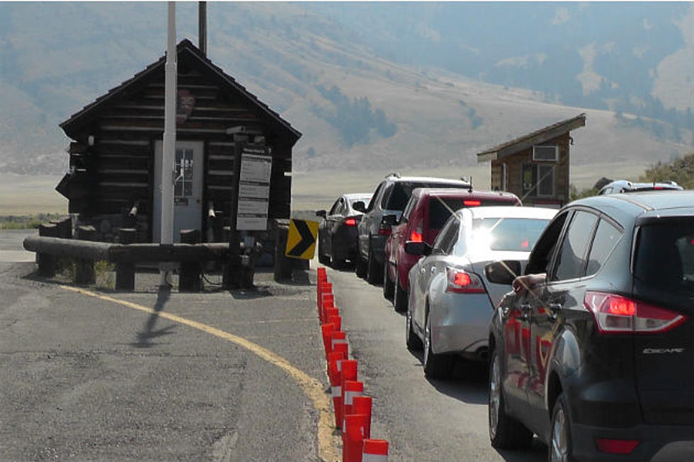 Yellowstone National Park Records Most July Visits Ever