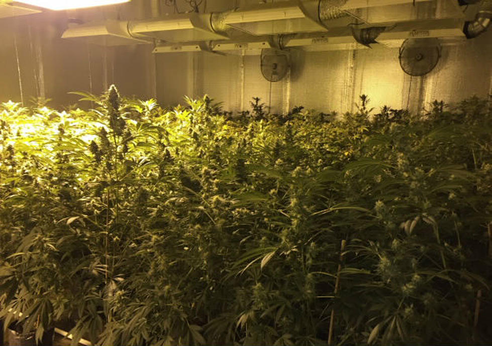Fremont County Pot Grower Indicted In Federal Court