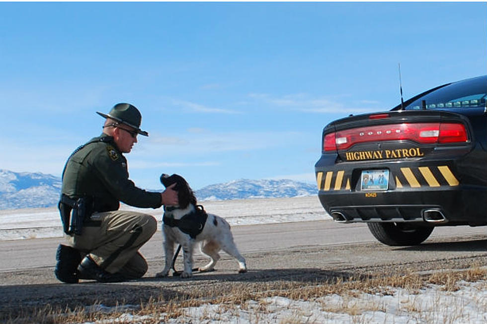 Donations Help Wyoming Sheriff’s Office Acquire 2 New K-9s