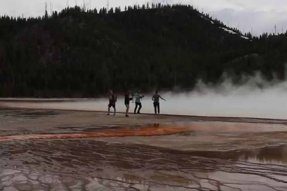 Feds Won't Extradite Yellowstone Scofflaws; Social Media Picks Up The Slack