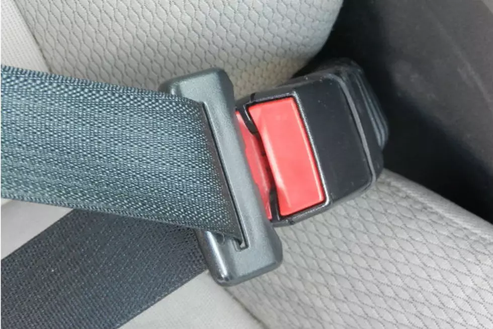 Wyoming Law Enforcement To Step Up Seat Belt Enforcement [VIDEO]