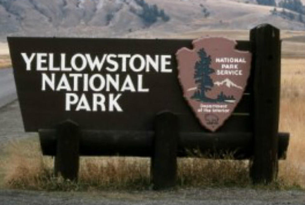 Woman Killed in Accident in Yellowstone