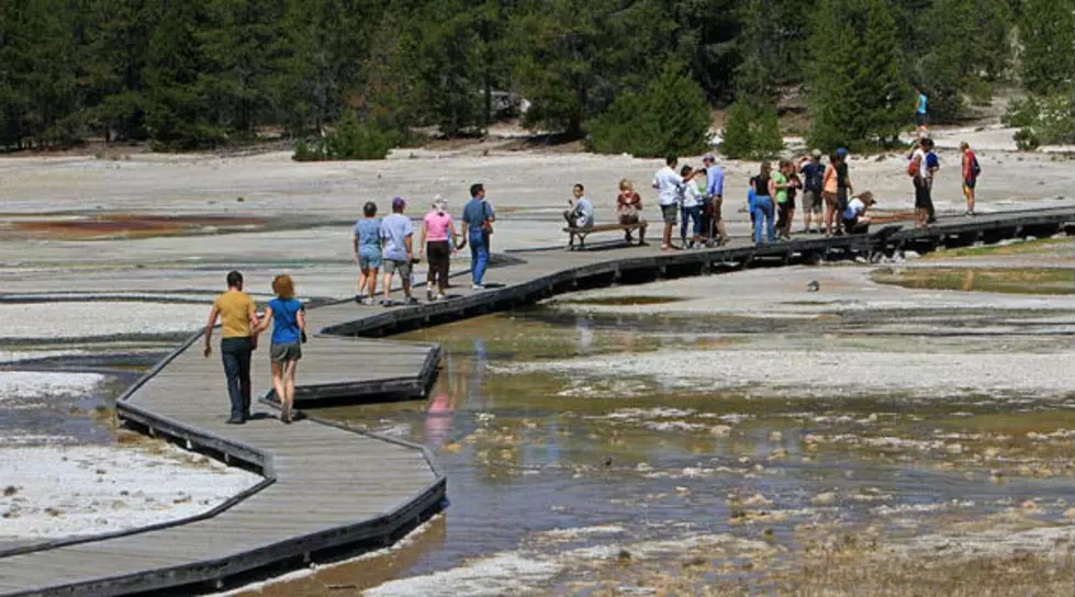 More Yellowstone Tourists Caught Breaking the Rules