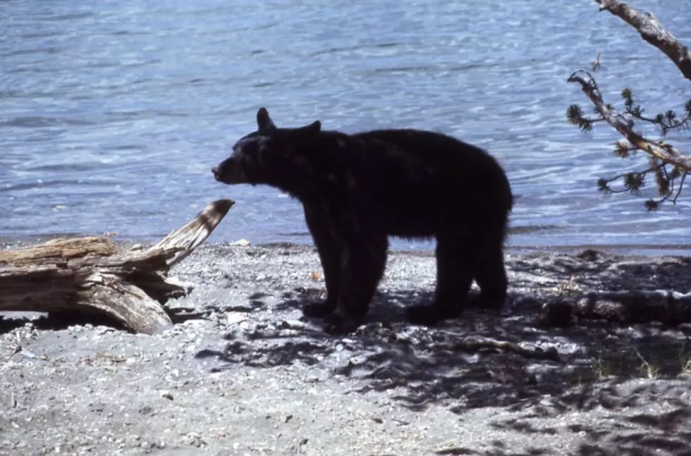 BLM Reopens Prior Flat Campground