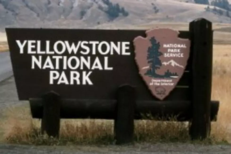 Yellowstone Park Heading For Another Record Year In Visits