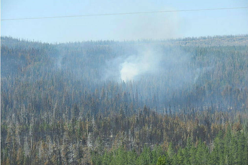 Wyoming Wildfires Are Scorching More Acres In 2016 Compared To 2015