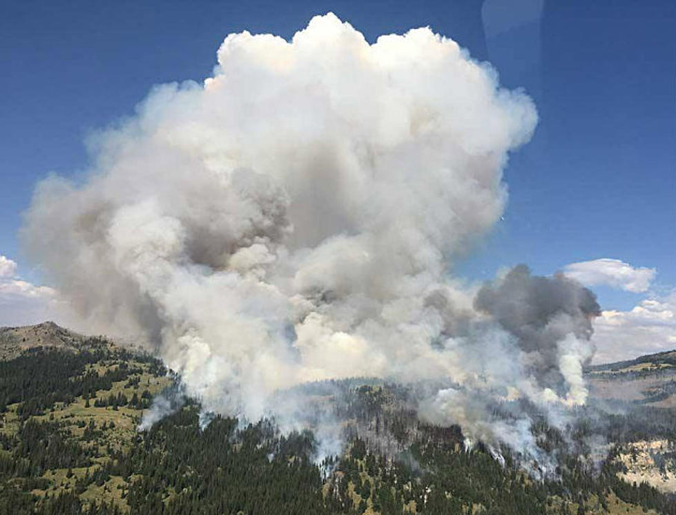 UPDATE: New Fire at Yellowstone National Park