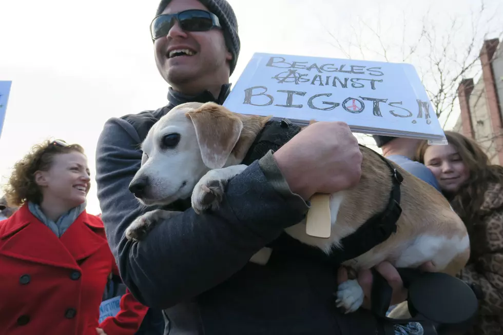 Casper Women, Men, Children And A Beagle March For Equality