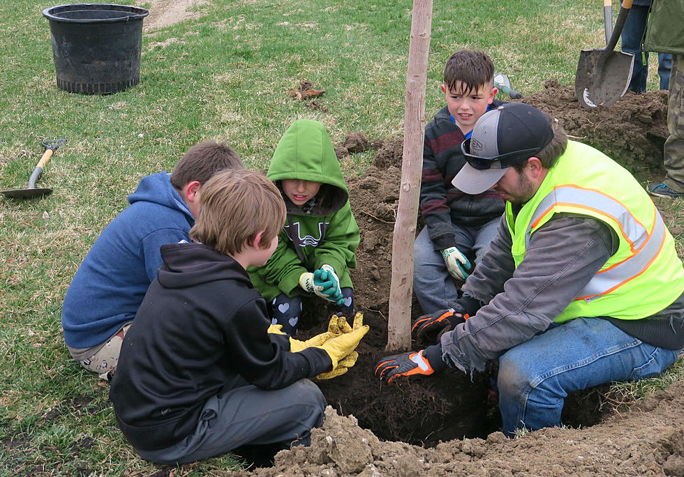 Casper’s Conwell Park Gets A Tree Makeover