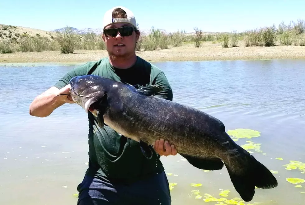 Rock Springs Angler Reels In New State Record Catfish