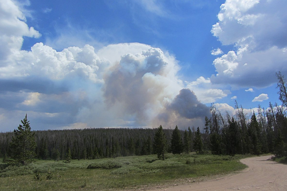 Rain Falls on Wyoming Wildfire, But Heavy Fuels Still Burn